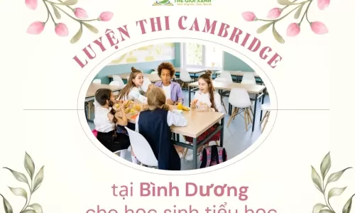 Luyện thi Cambridge tại Bình Dương cho học sinh tiểu học