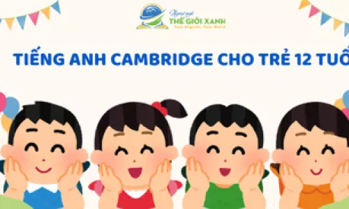 Tiếng Anh Cambridge cho trẻ 12 tuổi